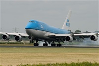©Rodrigo Carvalho - Noisy Spotters. Click to see full size photo ©Rodrigo Carvalho - Noisy Spotters. Click to see full size photo