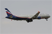 Rodrigo Carvalho - Noisy Spotters. Click to see full size photo