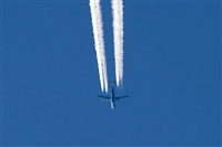 Jos Miguel Bernases - Noisy Spotters. Click to see full size photo