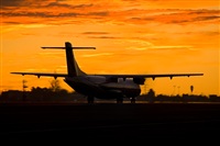 Javier de la Cruz - CANARY ISLANDS SPOTTING. Click to see full size photo