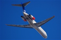 Chalo Canary Islands Spotting. Click to see full size photo