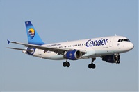 Alfonso Sols - Asociacin Canary Islands Spotting. Click to see full size photo