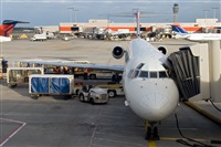 Javier de la Cruz - CANARY ISLANDS SPOTTING. Click to see full size photo