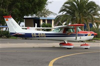 ©Alfonso Solís - Asociación Canary Islands Spotting. Click to see full size photo ©Alfonso Solís - Asociación Canary Islands Spotting. Click to see full size photo