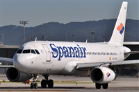 Manuel Noisy Spotters. Click to see full size photo