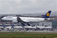 ©José Miguel Bernases - Noisy Spotters. Click to see full size photo ©José Miguel Bernases - Noisy Spotters. Click to see full size photo