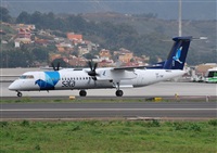 Alejandro Bethencourt (Canary Islands Spotting). Click to see full size photo