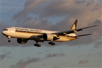 Jos Miguel Bernases - Noisy Spotters. Click to see full size photo