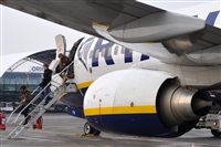 Rubn Gil - Noisy Spotters. Click to see full size photo