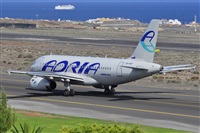 Miguel A. gueda Rguez.  (CANARY ISLANDS SPOTTING). Click to see full size photo