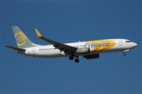 Miguel A. gueda Rguez.  (CANARY ISLANDS SPOTTING). Click to see full size photo