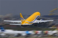 Rui Alves - Madeira Spotters. Click to see full size photo