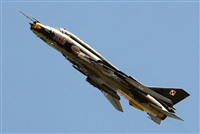 Tams. Click to see full size photo