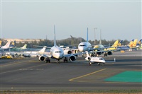 JF Alemn-GranCanariaSpotters. Click to see full size photo