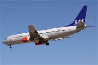 ©Alfonso Solís - Asociación Canary Islands Spotting. Click to see full size photo ©Alfonso Solís - Asociación Canary Islands Spotting. Click to see full size photo