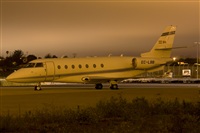 Ayoze Santana Mendez - Canary Islands Spotting. Click to see full size photo