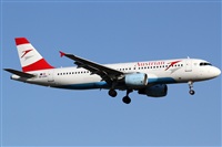 Rubn Gil - Noisy Spotters. Click to see full size photo