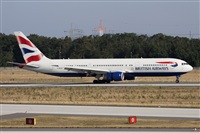 Miguel Alia - Noisy Spotters. Click to see full size photo