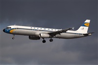 Miguel Alia - Noisy Spotters. Click to see full size photo