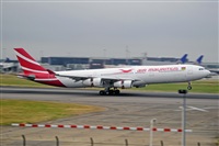 Miguel A. gueda Rguez.  (CANARY ISLANDS SPOTTING). Click to see full size photo