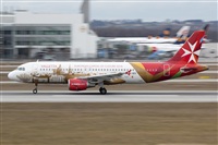 Miguel Alia - Noisy Spotters. Click to see full size photo