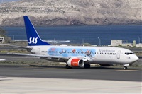 Paco Muoz Arencibia - Gran Canaria Spotters. Click to see full size photo