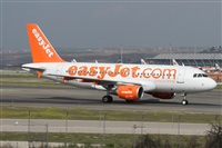 ©Alfonso Solís - Asociación Canary Islands Spotting. Click to see full size photo ©Alfonso Solís - Asociación Canary Islands Spotting. Click to see full size photo