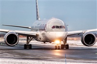Javier de la Cruz - CANARY ISLANDS SPOTTING. Click to see full size photo