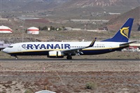 ©Alfonso Solís - Asociación Canary Islands Spotting. Click to see full size photo ©Alfonso Solís - Asociación Canary Islands Spotting. Click to see full size photo