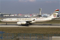 Rubn Gil - Noisy Spotters. Click to see full size photo