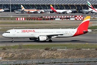 ©Alfonso Solís - Asociación Canary Islands Spotting. Click to see full size photo ©Alfonso Solís - Asociación Canary Islands Spotting. Click to see full size photo