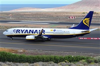 Miguel A. gueda Rguez.  (CANARY ISLANDS SPOTTING). Click to see full size photo