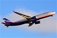 Miguel A. gueda Rguez.  (CANARY ISLANDS SPOTTING). Haz click para ampliar