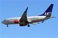 Alfonso Sols - Asociacin Canary Islands Spotting. Haz click para ampliar