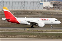 ©Alfonso Solís - Asociación Canary Islands Spotting. Click to see full size photo ©Alfonso Solís - Asociación Canary Islands Spotting. Click to see full size photo