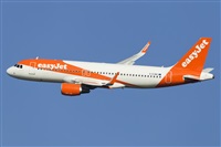 Rubn Gil - Noisy Spotters. Click to see full size photo