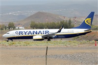 ©Nacho Rodriguez - Canary Islands Spotting. Click to see full size photo ©Nacho Rodriguez - Canary Islands Spotting. Click to see full size photo