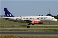 ©Alfonso Solís - Asociación Canary Islands Spotting. Click to see full size photo ©Alfonso Solís - Asociación Canary Islands Spotting. Click to see full size photo