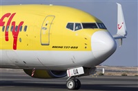 ©Daniel Santos Batista - Canary Islands Spotting. Click to see full size photo ©Daniel Santos Batista - Canary Islands Spotting. Click to see full size photo
