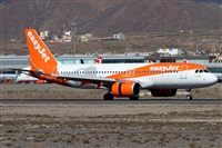 ©Alfonso Solís - Asociación Canary Islands Spotting. Click to see full size photo ©Alfonso Solís - Asociación Canary Islands Spotting. Click to see full size photo