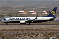 Alfonso Sols - Asociacin Canary Islands Spotting. Click to see full size photo