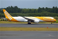 Miguel A. gueda Rguez.  (CANARY ISLANDS SPOTTING). Click to see full size photo