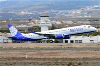 Miguel A. gueda Rguez.  (CANARY ISLANDS SPOTTING). Click to see full size photo
