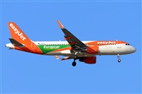 Miguel A. gueda Rguez.  (CANARY ISLANDS SPOTTING). Click to see full size photo