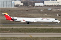 Alfonso Sols - Asociacin Canary Islands Spotting. Click to see full size photo