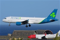Miguel A. gueda Rguez.  (CANARY ISLANDS SPOTTING). Click to see full size photo