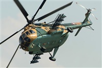 Tams. Click to see full size photo