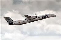 Javier de la Cruz - CANARY ISLANDS SPOTTING. Click to see full size photo