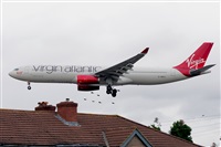 Miguel A. gueda Rguez.  (CANARY ISLANDS SPOTTING). Click to see full size photo