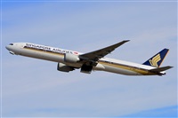 Miguel A. gueda Rguez.  (CANARY ISLANDS SPOTTING). Click to see full size photo